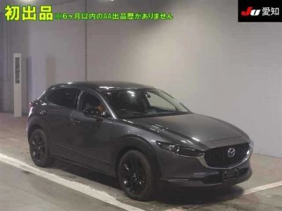 MAZDA CX30 GRAY 2022 BLACK TONE 200105