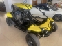 PGO 600CC BUGGY